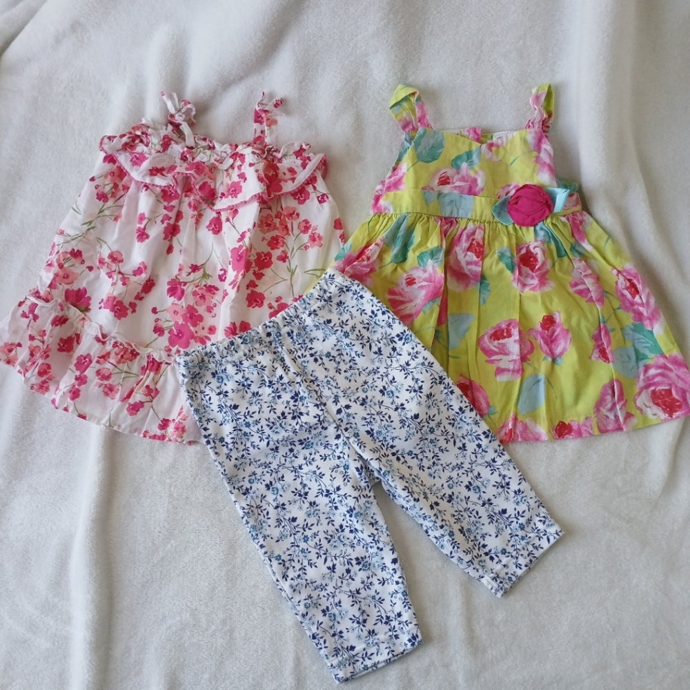 Baby Girl 3 Pieces Floral Set Dress and Pants Bundle, Size 6-9 Months